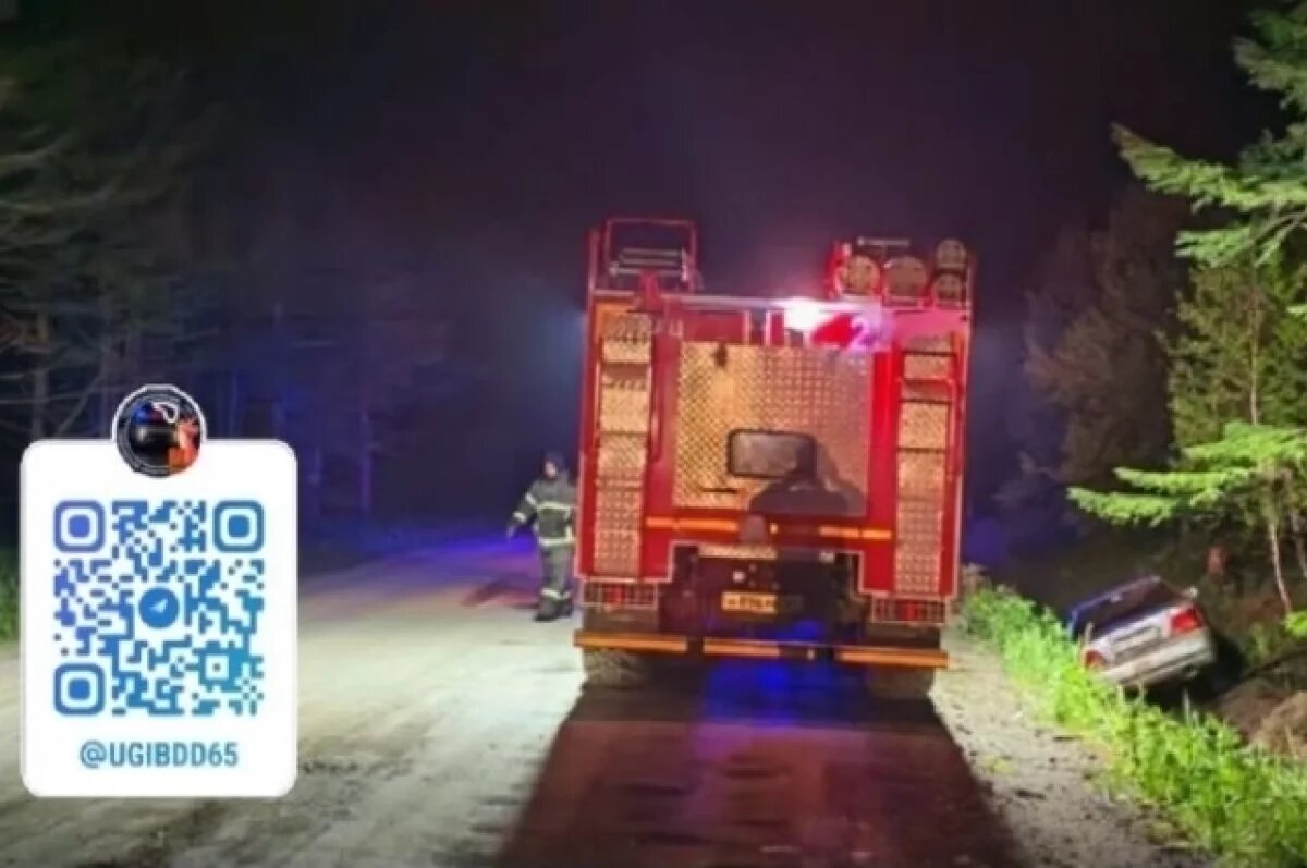    Двое пострадали в результате съезда в кювет Toyota Vista на Сахалине