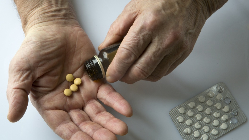    Николай Гынгазов/Global Look Press