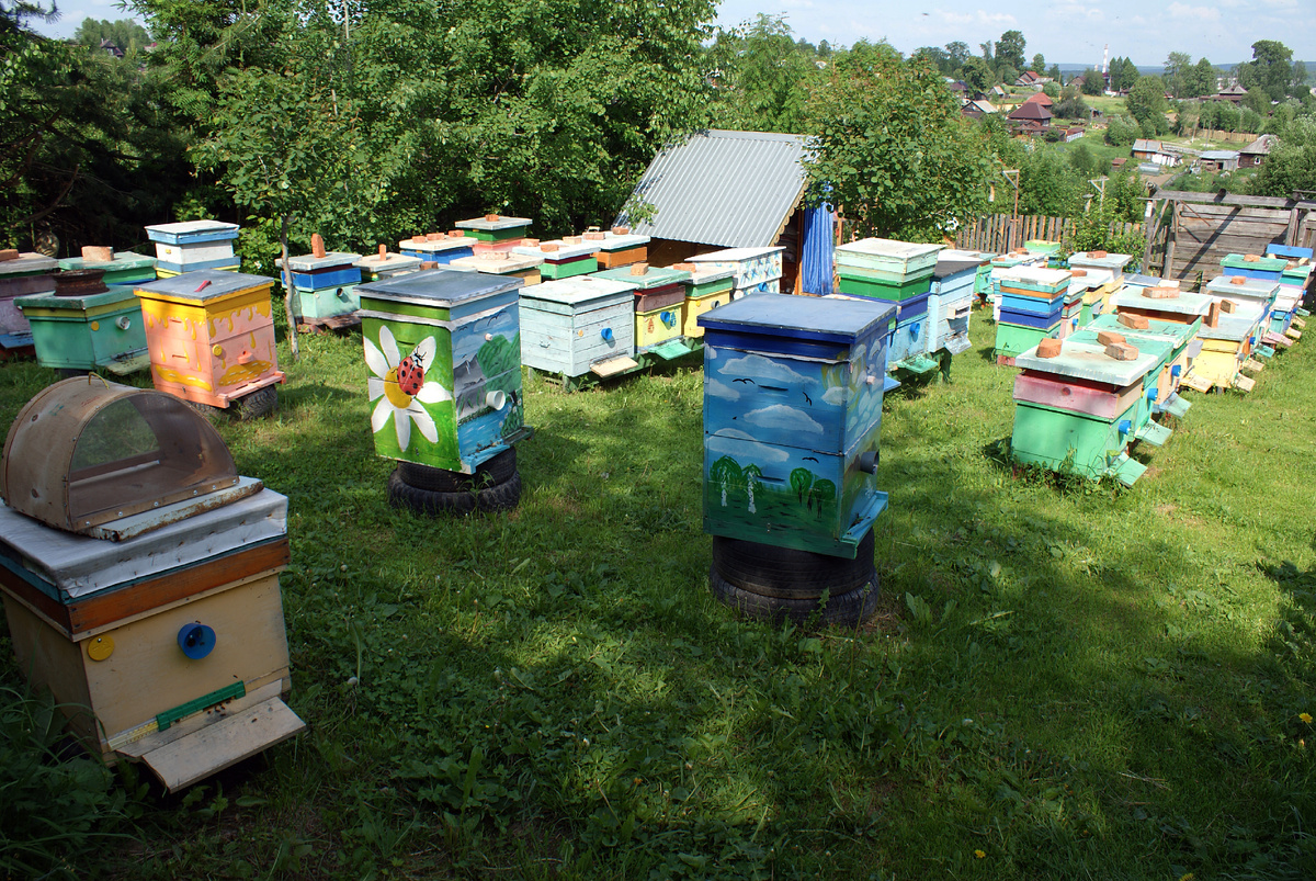 Теплая солнечная погода вдруг сменилась дождливыми днями и ночами