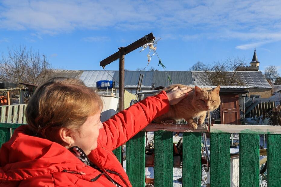    Наталья Шатохина/NEWS.ru