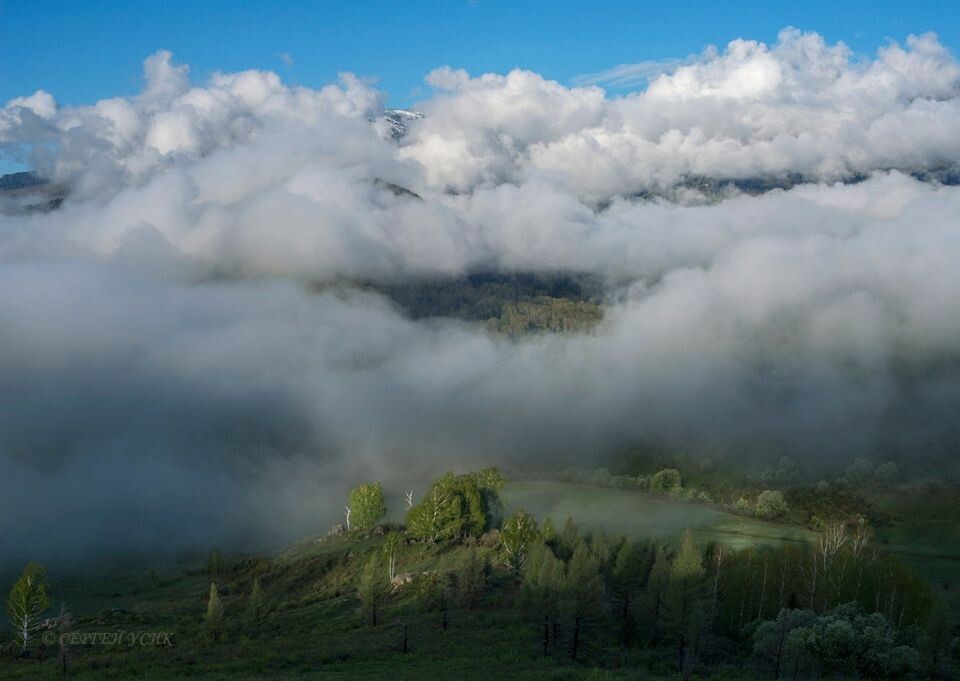    Солонешенский район. Источник: Сергей Усик