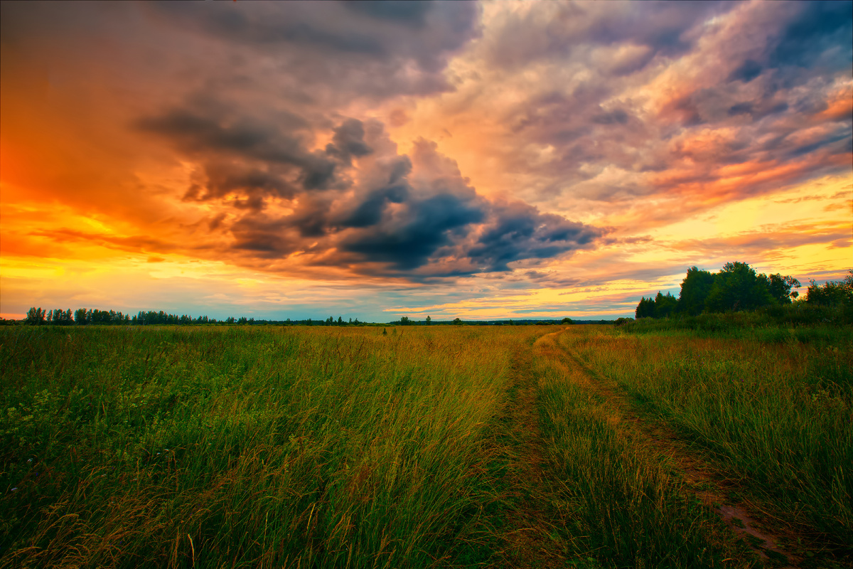 фото: Alexander Novikov/Global Look Press