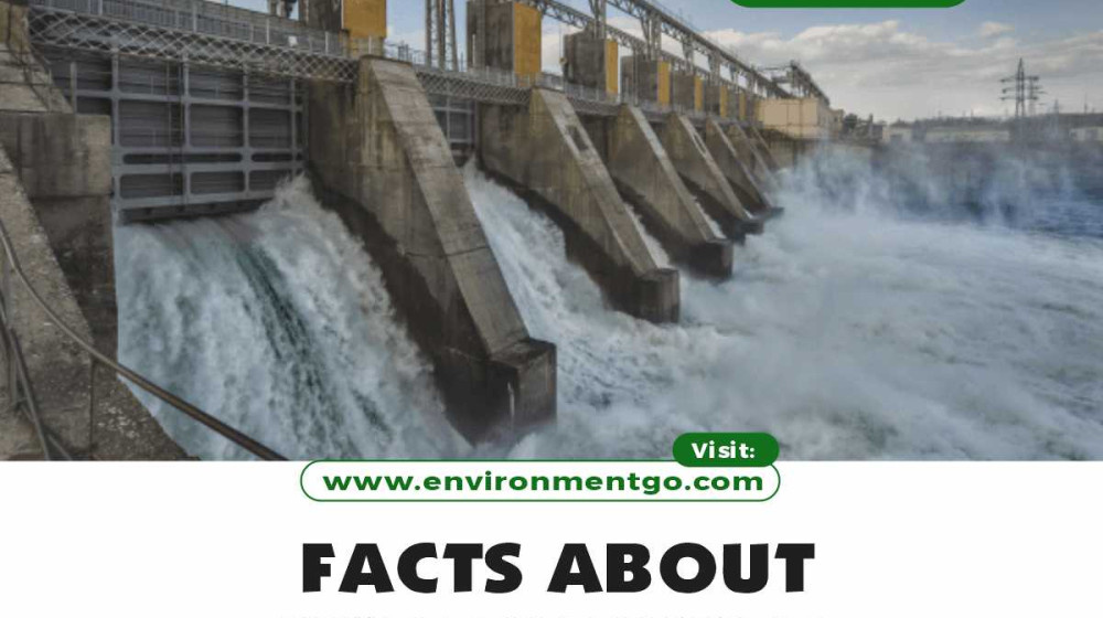    АМЕРИКА ЛОМАЕТ ПЛОТИНЫ Почему США сносят ГЭС и возвращают рекам свободу