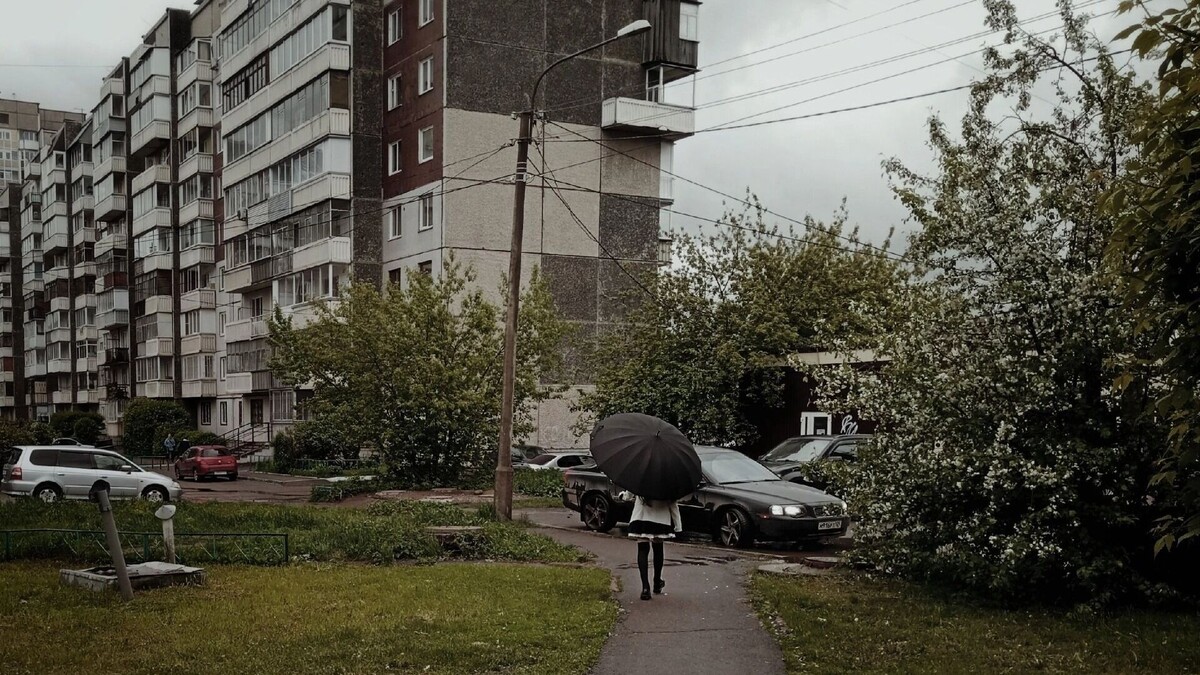     Источник: prmira.ru