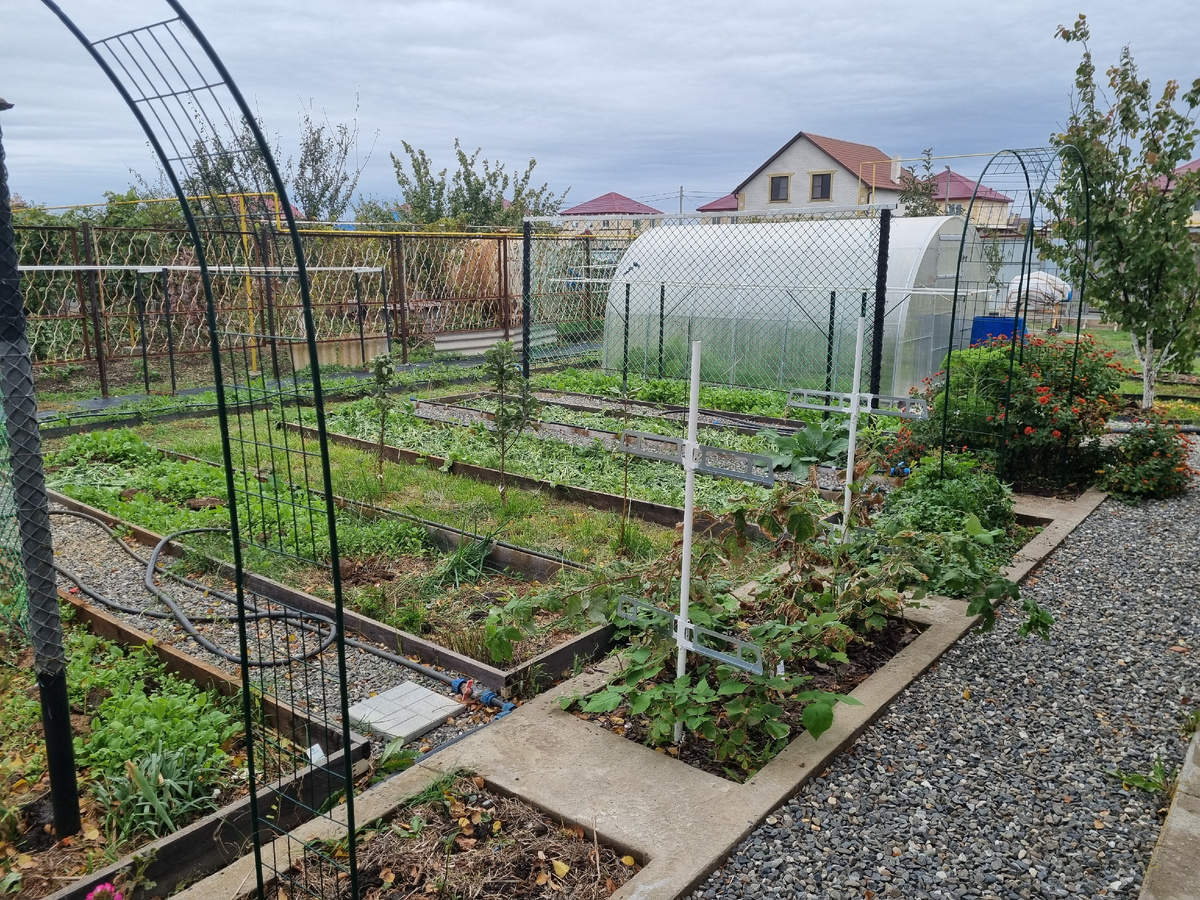 Места под ямы для мусора решительно нет! Фото: Зеленая леди: сад, семья и томатный сок