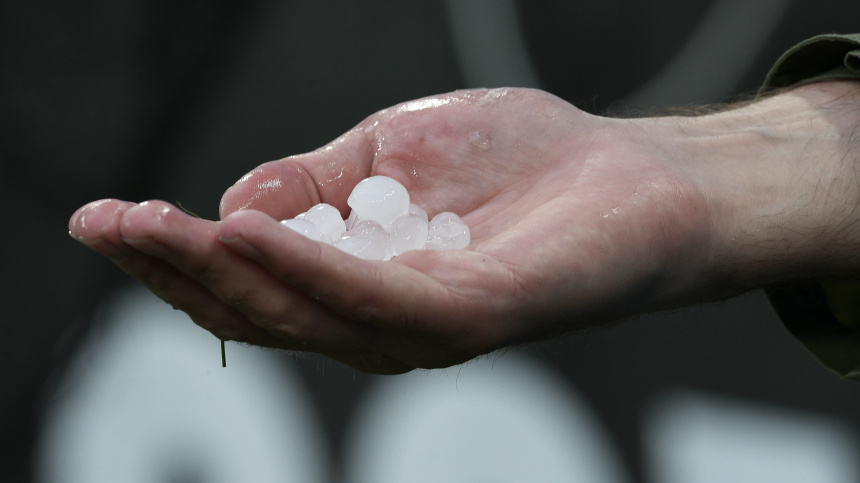    Фото: © РИА Новости/Алексей Даничев; 5-tv.ru