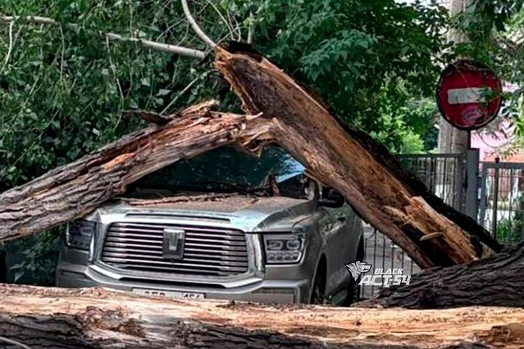    Фото: АСТ-54 / Telegram