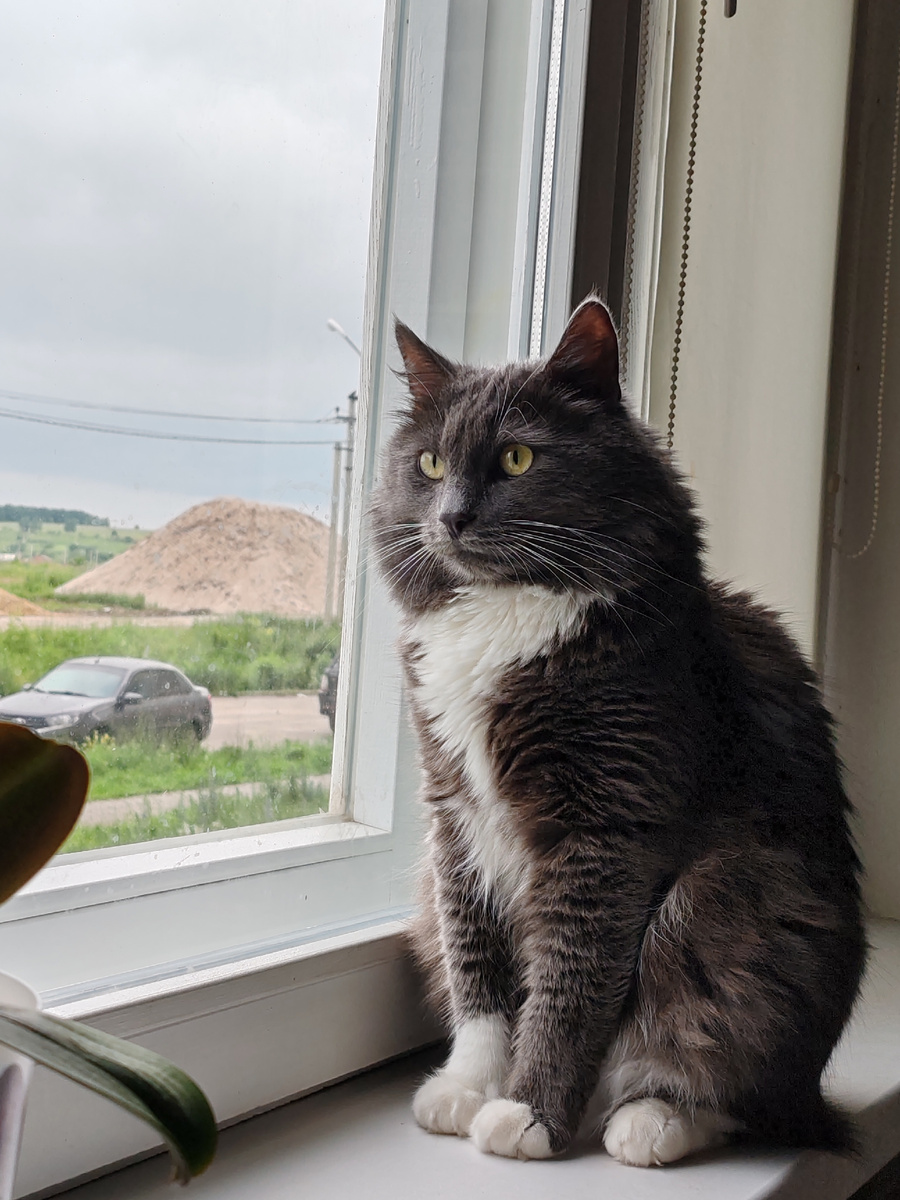 Фото автора канала. 