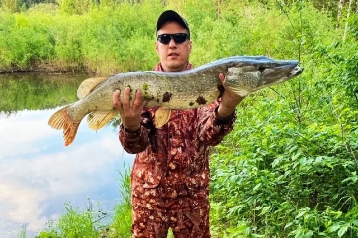    Восьмикилограммовая щука удивила южноуральцев.