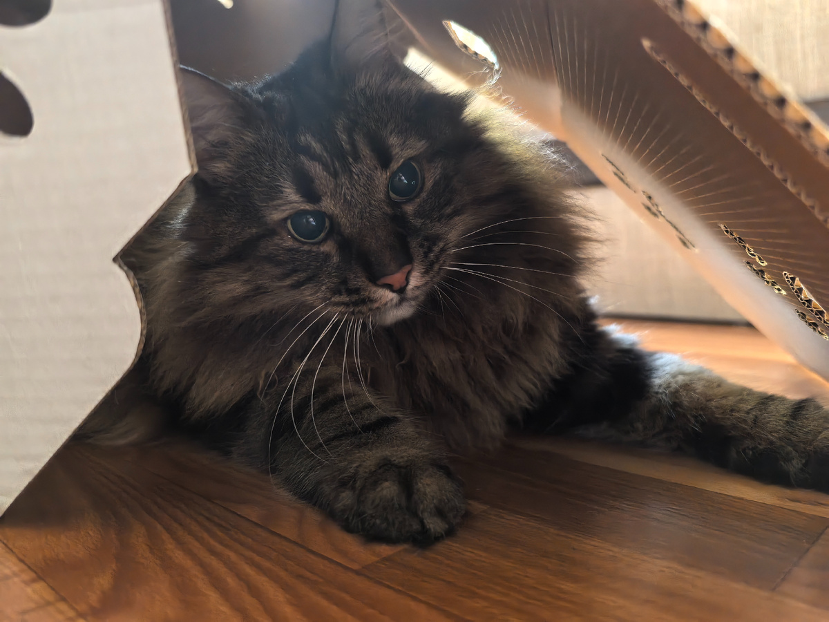 Только свет от окна неудачный.