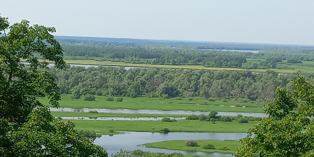 Ермаково поле.