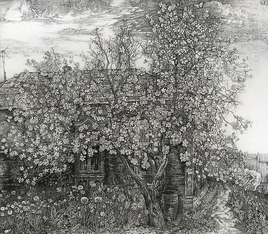 Никиреев С.М. ,, Яблоня цветёт ,, Офорт.