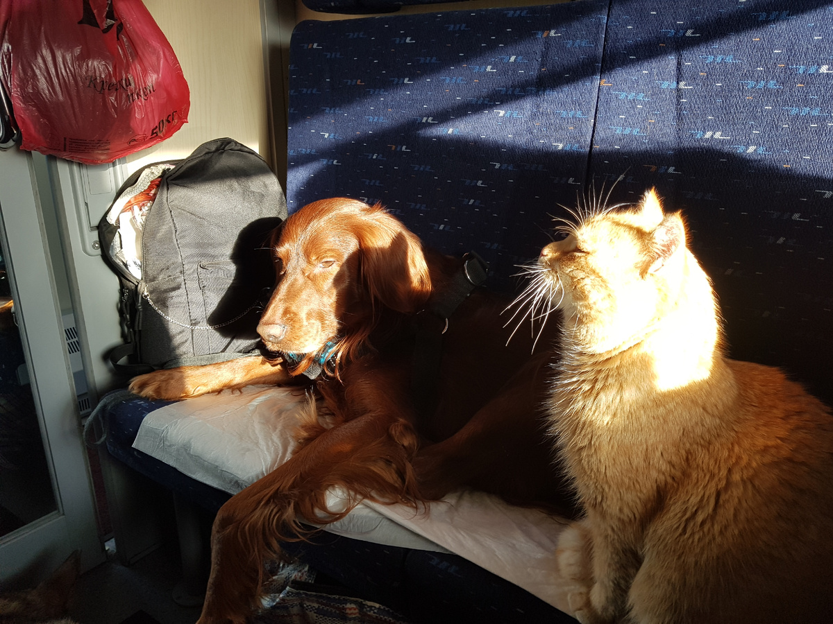 в купе. Харди и Лёва