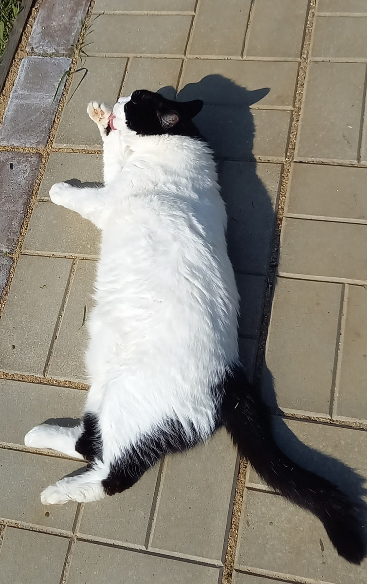 Фото автора