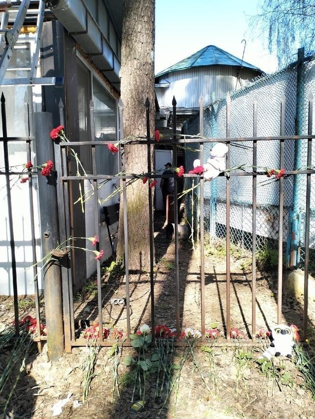 Страшный забор. Фото: из открытых источников.