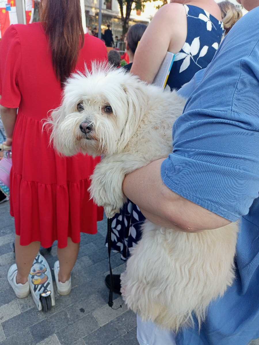 Фото автора. Братья наши меньшие...
