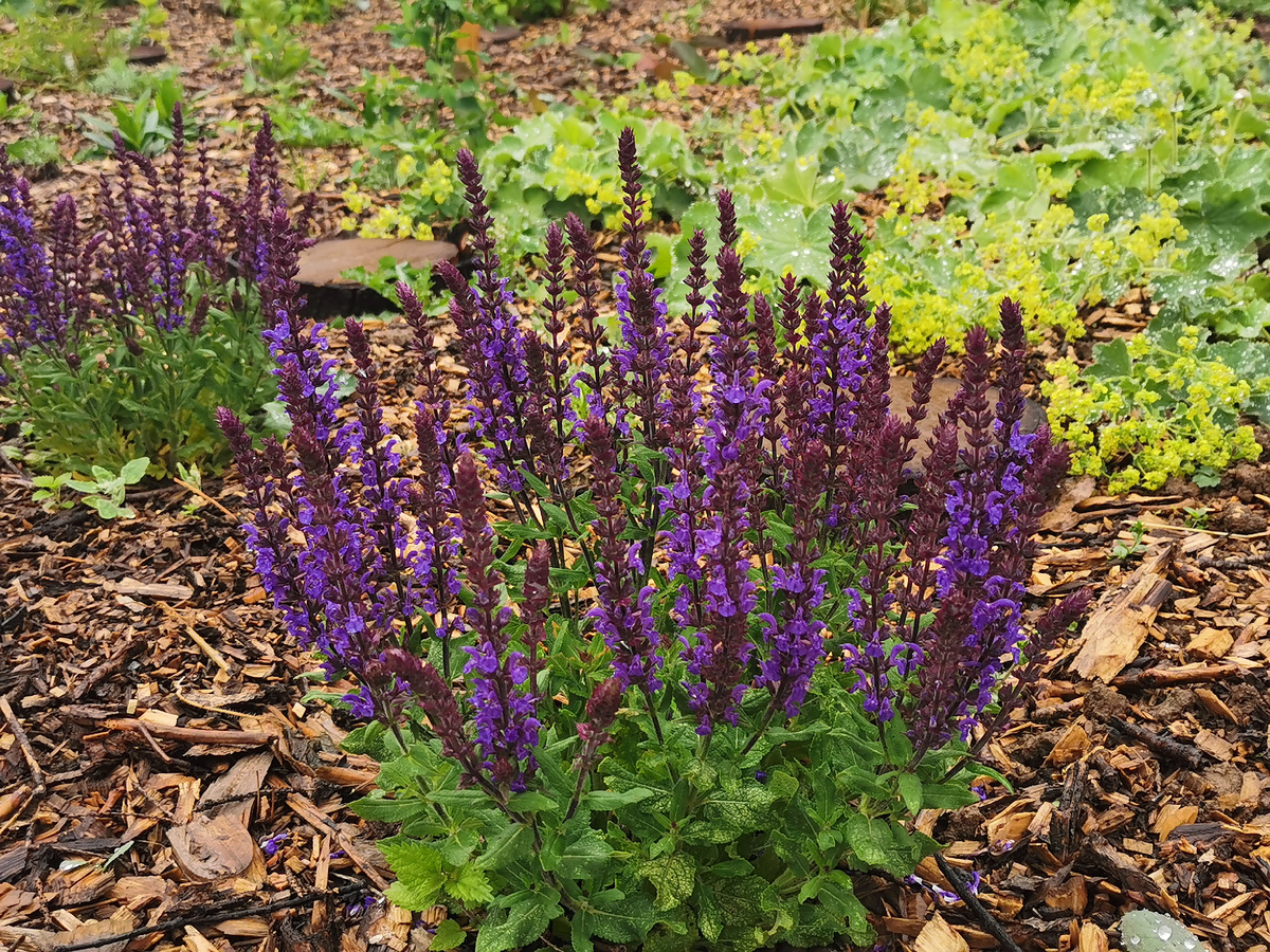 Действительно, не падает)