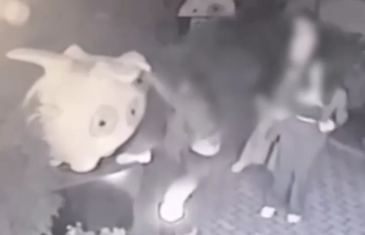    Школьница сломала скульптуру-свинью на Уссурийском бульваре в Хабаровске