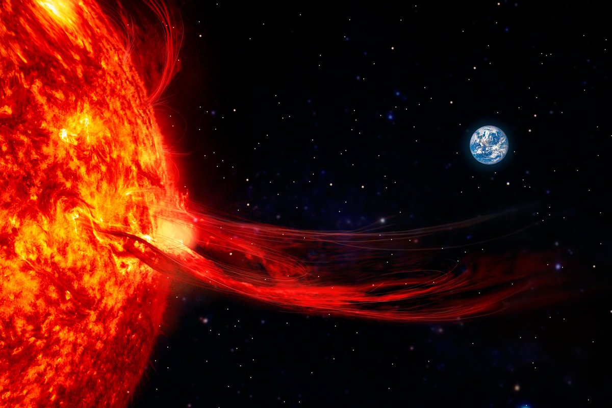    Фото: Lia Koltyrina / Shutterstock.com