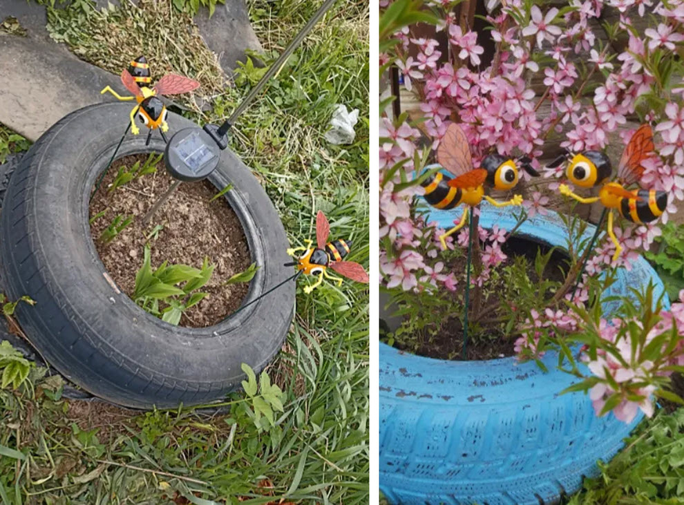 Фото: из открытых источников