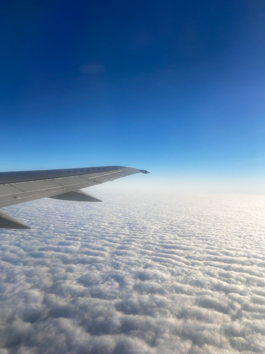    архив samaraonline24