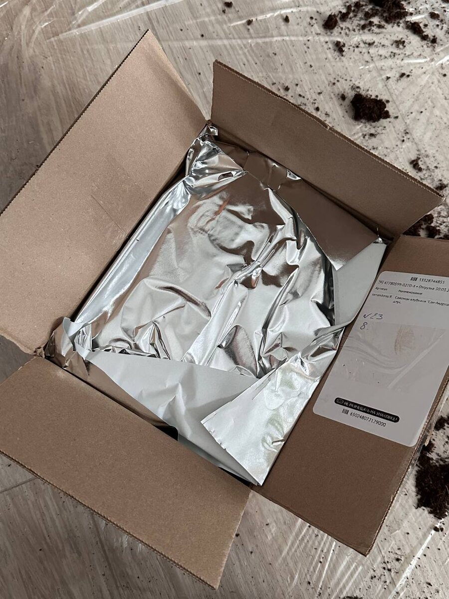 Рассада клубники с озона, упаковка