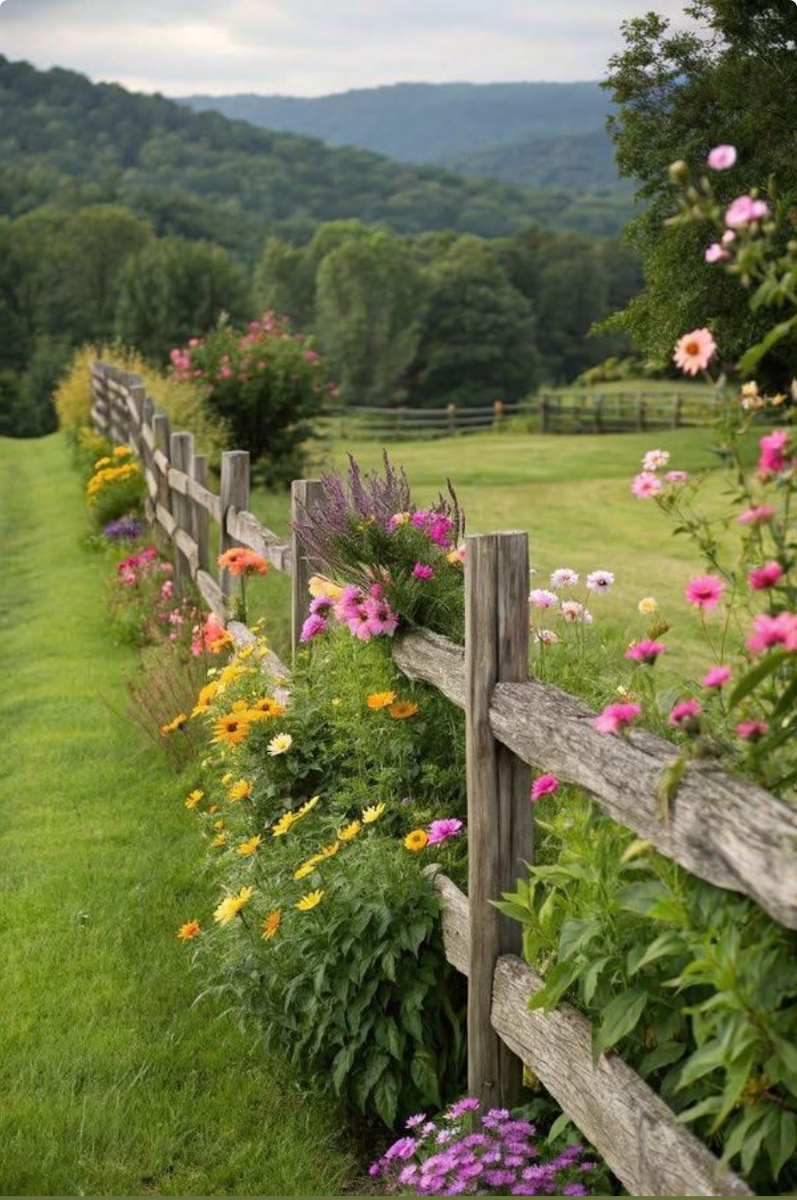 Изображение из Pinterest.