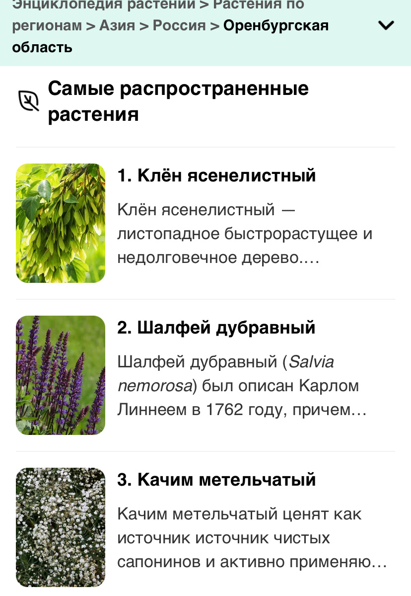 Самые распространенные растения в Оренбургской области