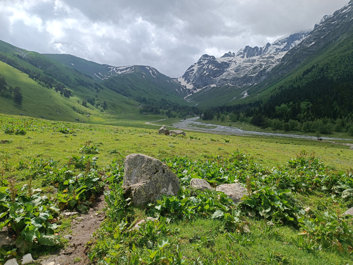 Останавливал по пути несколько раз, чтобы мы могли фоткать, что хотим