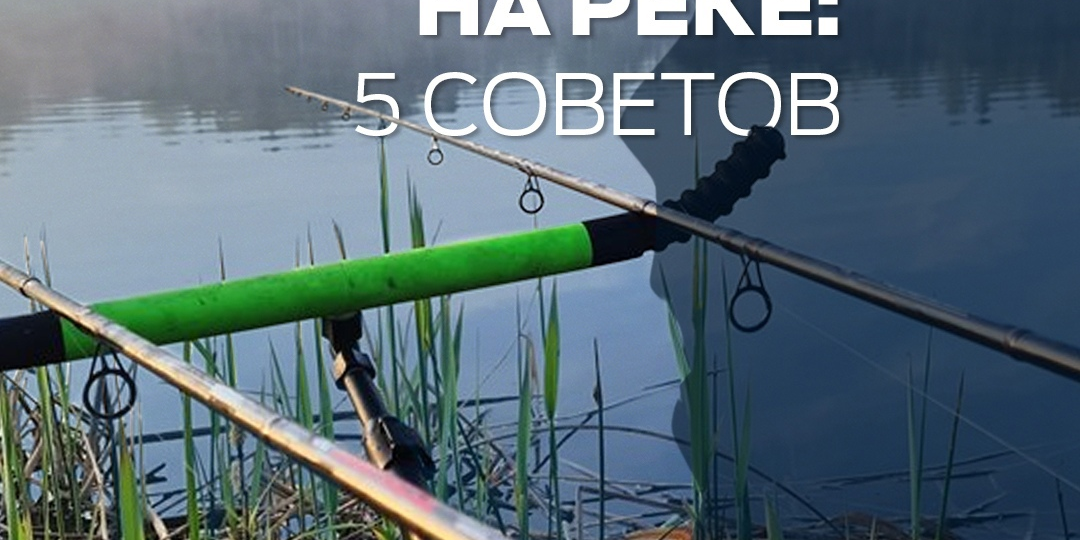 5 советов по ловле фидером на реке