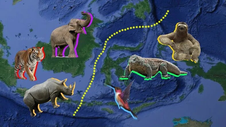 Невидимая граница планеты: почему звери не переходят её?