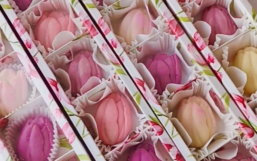 Сказка о бельгийских тюльпанах