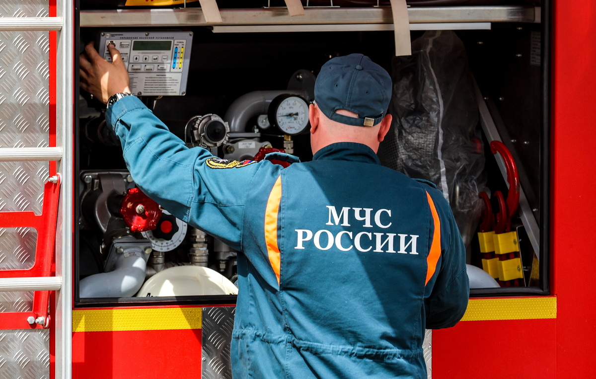 Эрик Романенко/ТАСС, архив