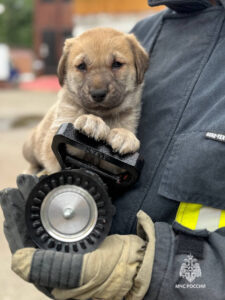    Фот:о ГУ МЧС России по Пермскому краю Екатерина Устькачкинцева