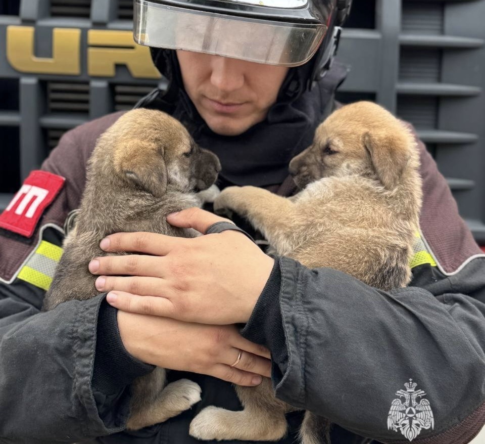    Фото: ГУ МЧС России по Пермскому краю Екатерина Устькачкинцева