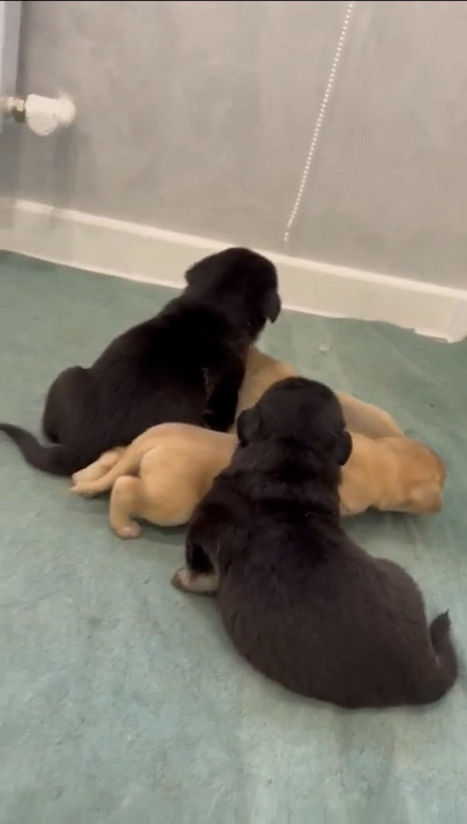 Утренняя тренировка. Фото из архива автора