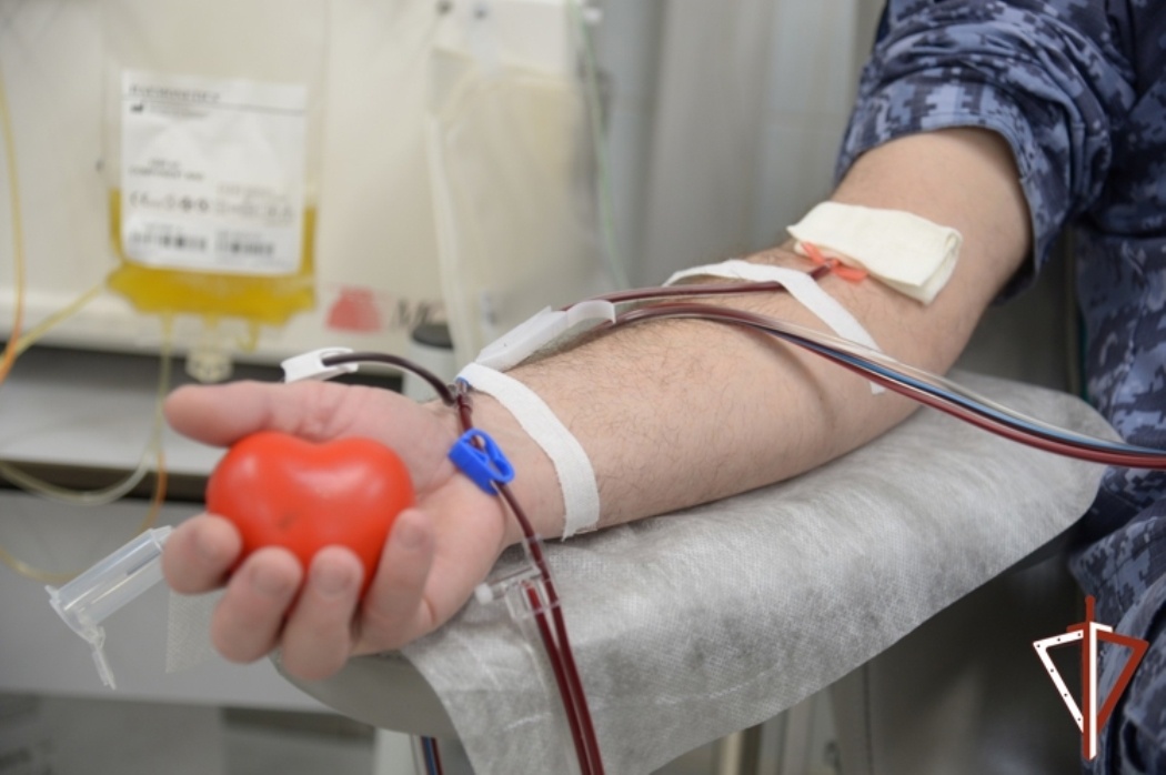    Фото: пресс-служба Управления Росгвардии по ХМАО - Югре