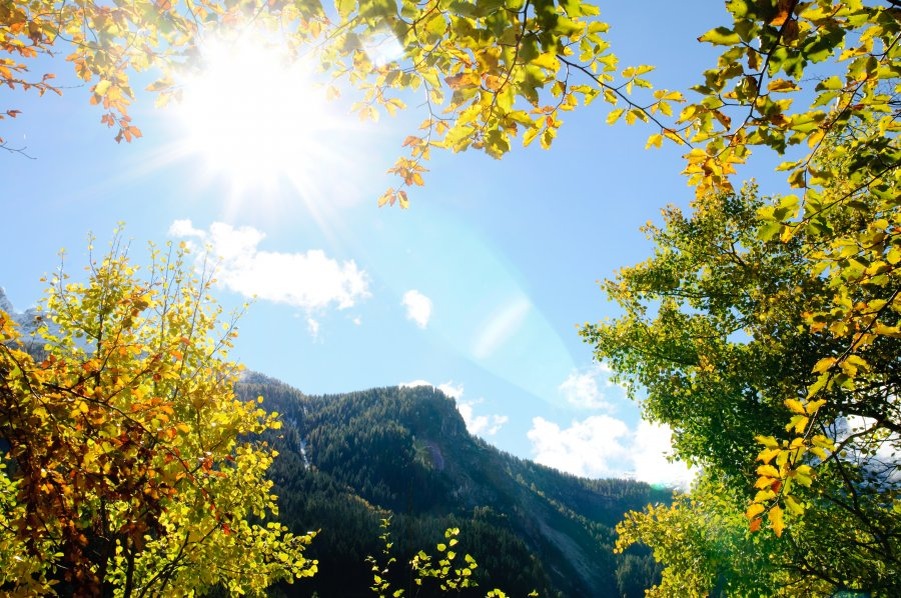 с просторов инета