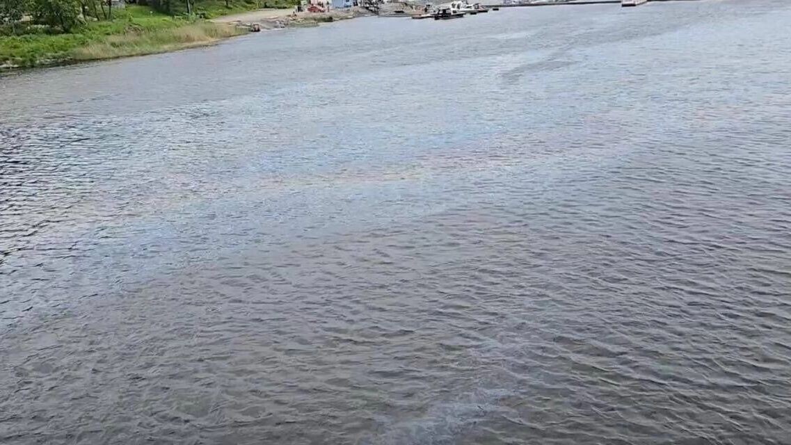     Источник: t.me/sztproc