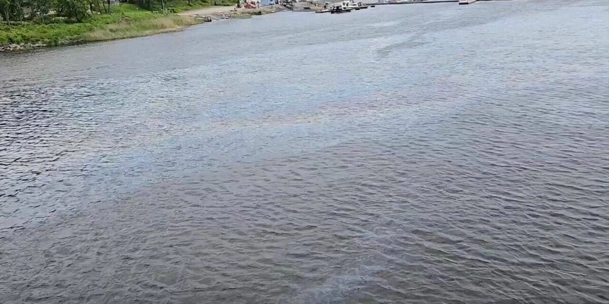     Источник: t.me/sztproc