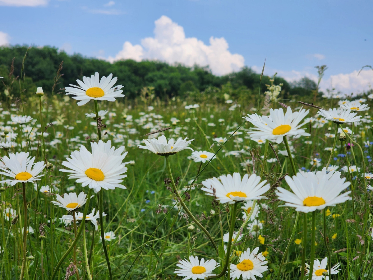 Фото: Оксана Улитина 