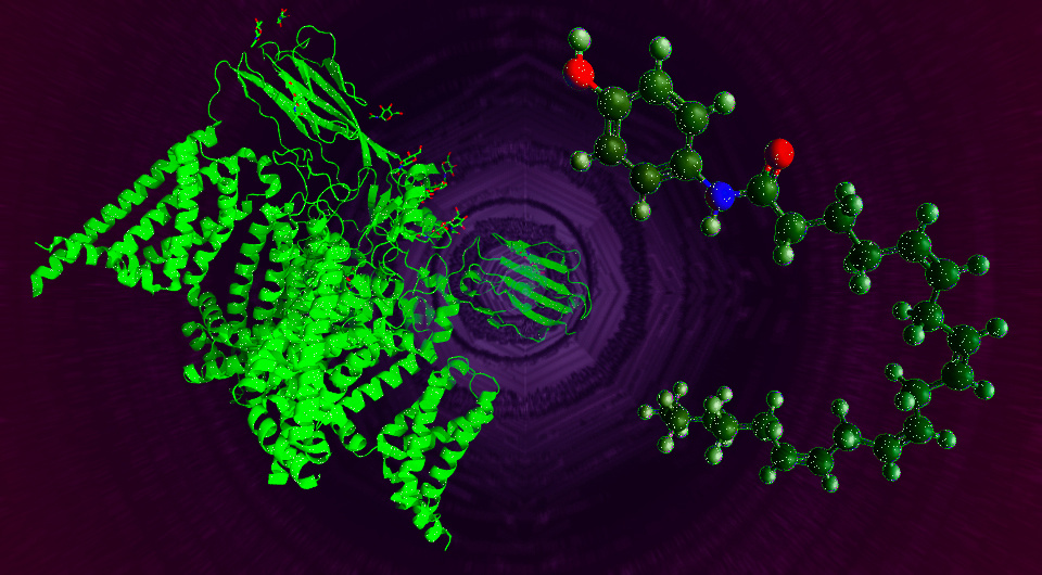   N + 1; Qcabi / Wikimedia Commons / CC BY-SA 4.0; Mplanine / Wikimedia Commons / CC0