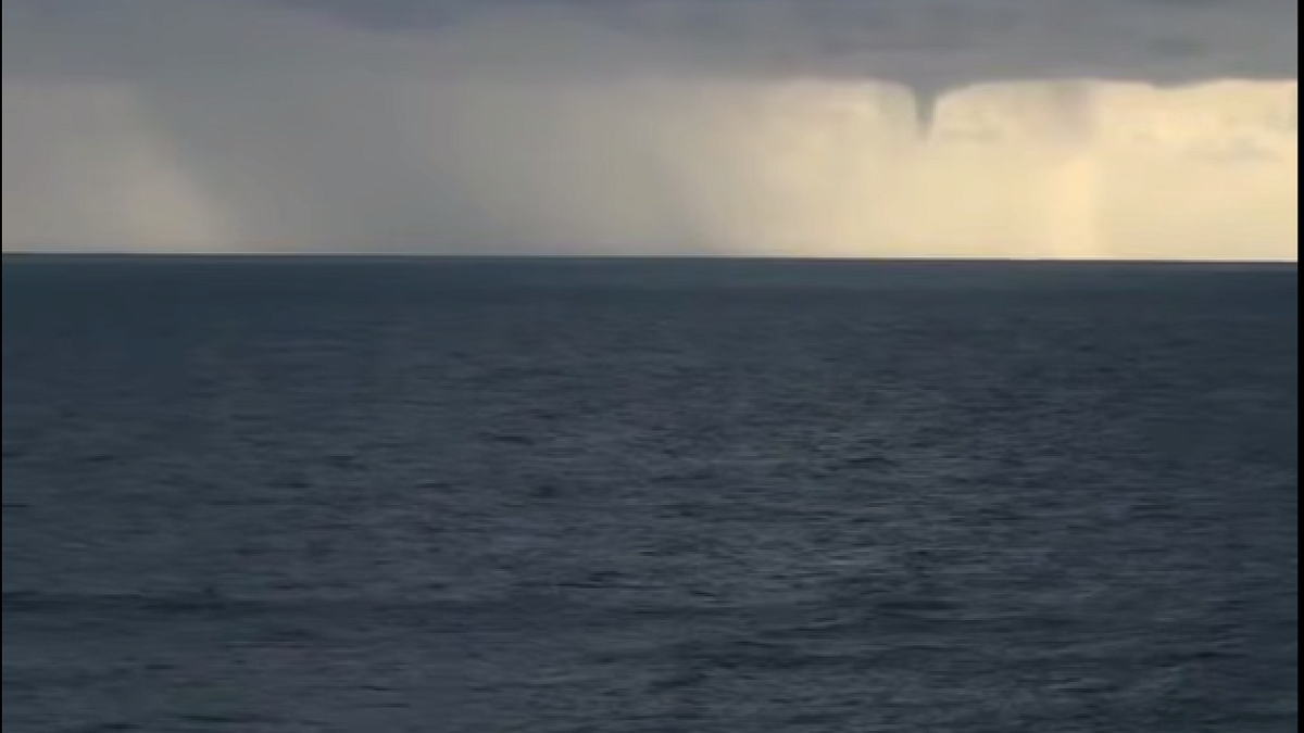    Скриншот: телеграм-канал «Sochi Today»