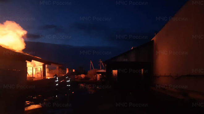 Фото: Пресс-служба ГУ МЧС России по Ленинградской области, архив