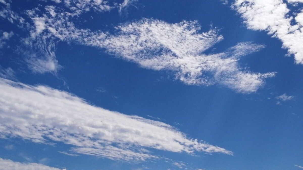     Источник: vostokmedia.com