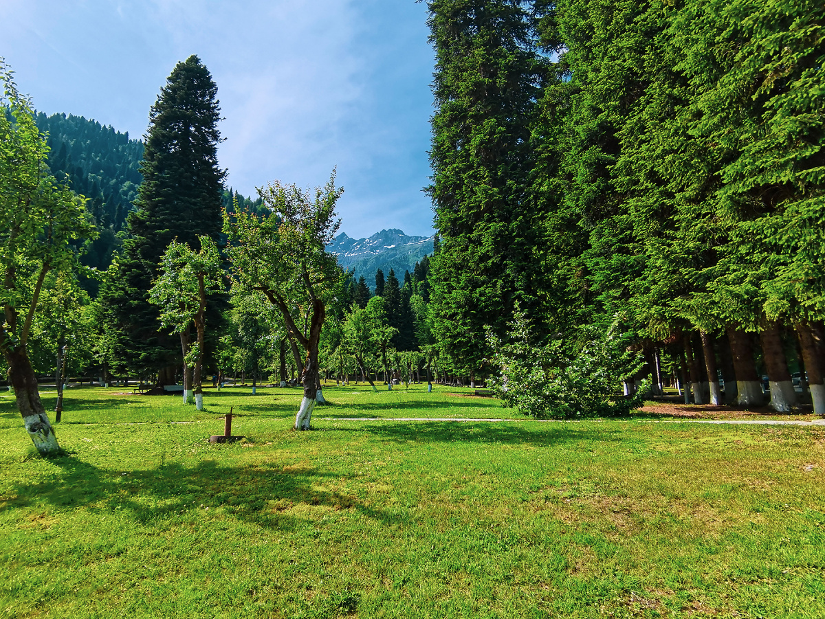 Территория дачи Сталина