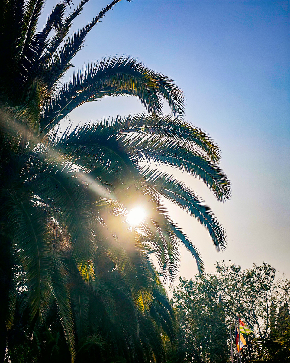 Город Гагра