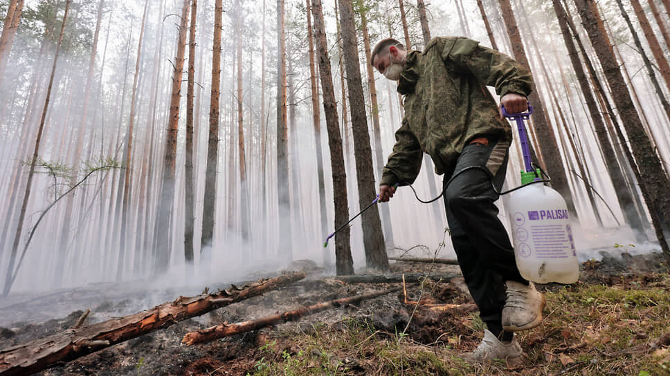 Фото: Марина Молдавская / Коммерсантъ