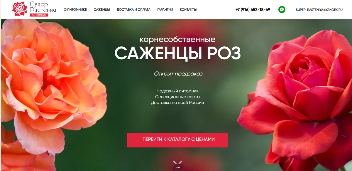 Вот питомник (не реклама)