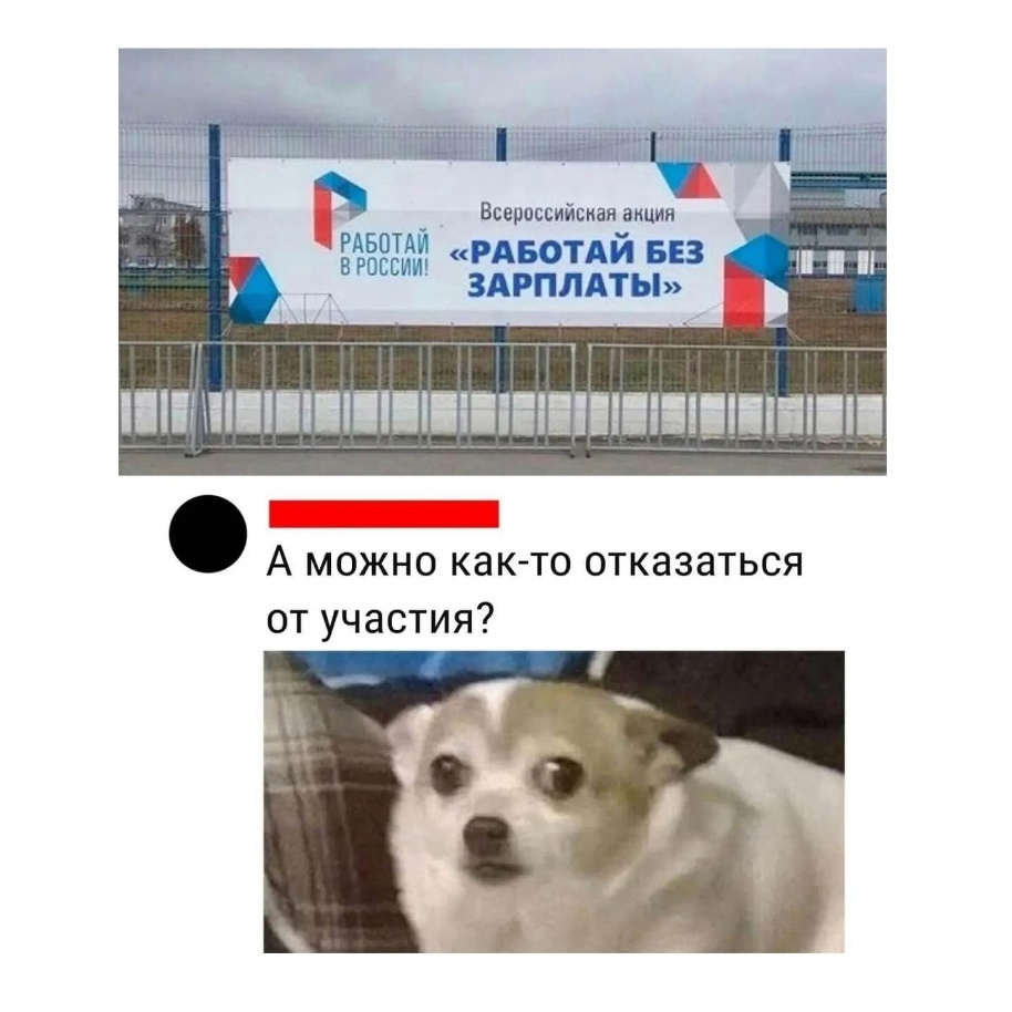 картинка из откртых источников 